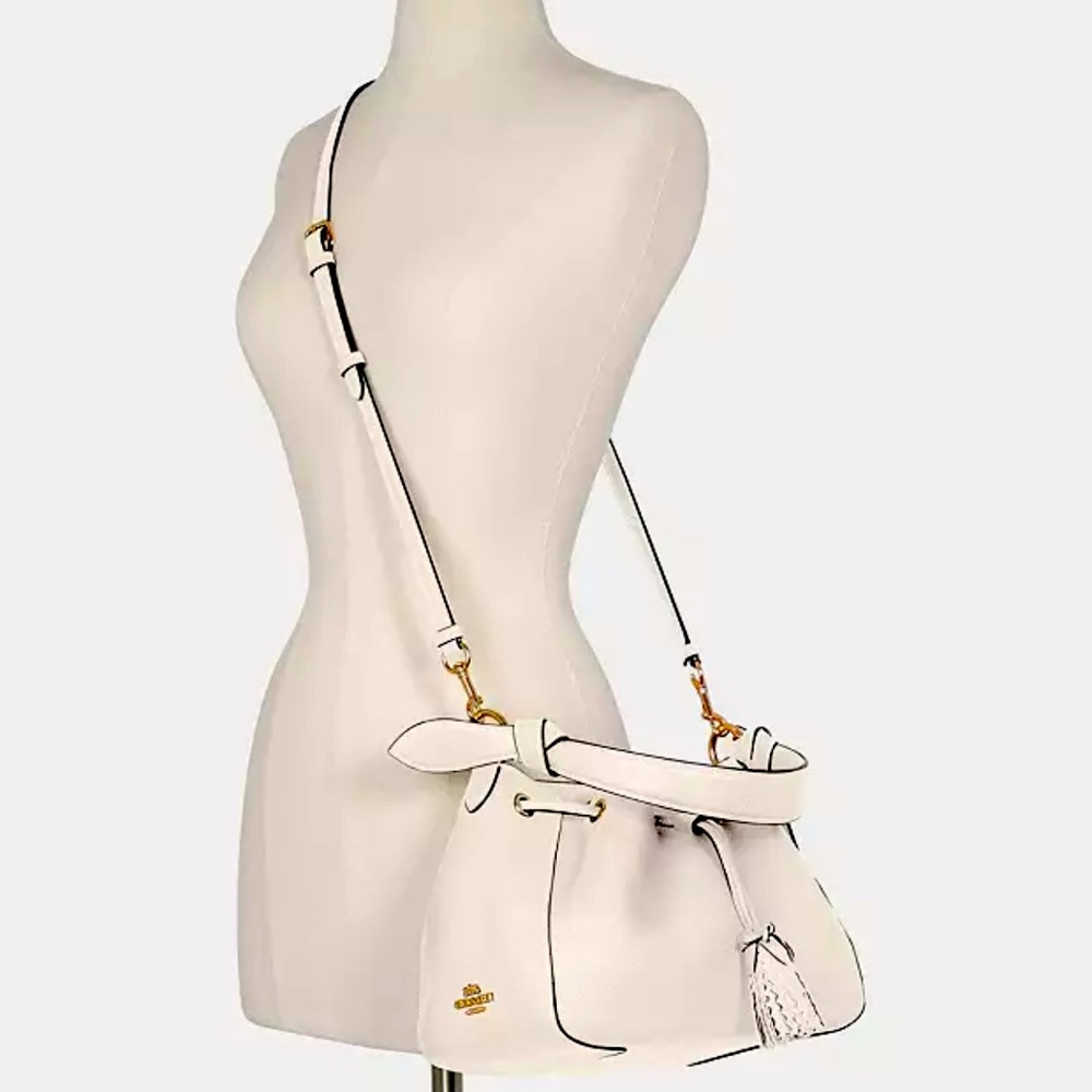 Coach Everly Bag